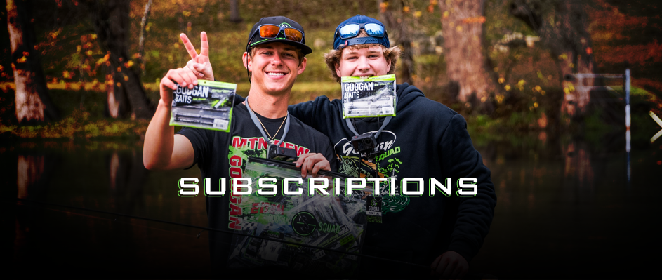 Category Panel Subscriptions
