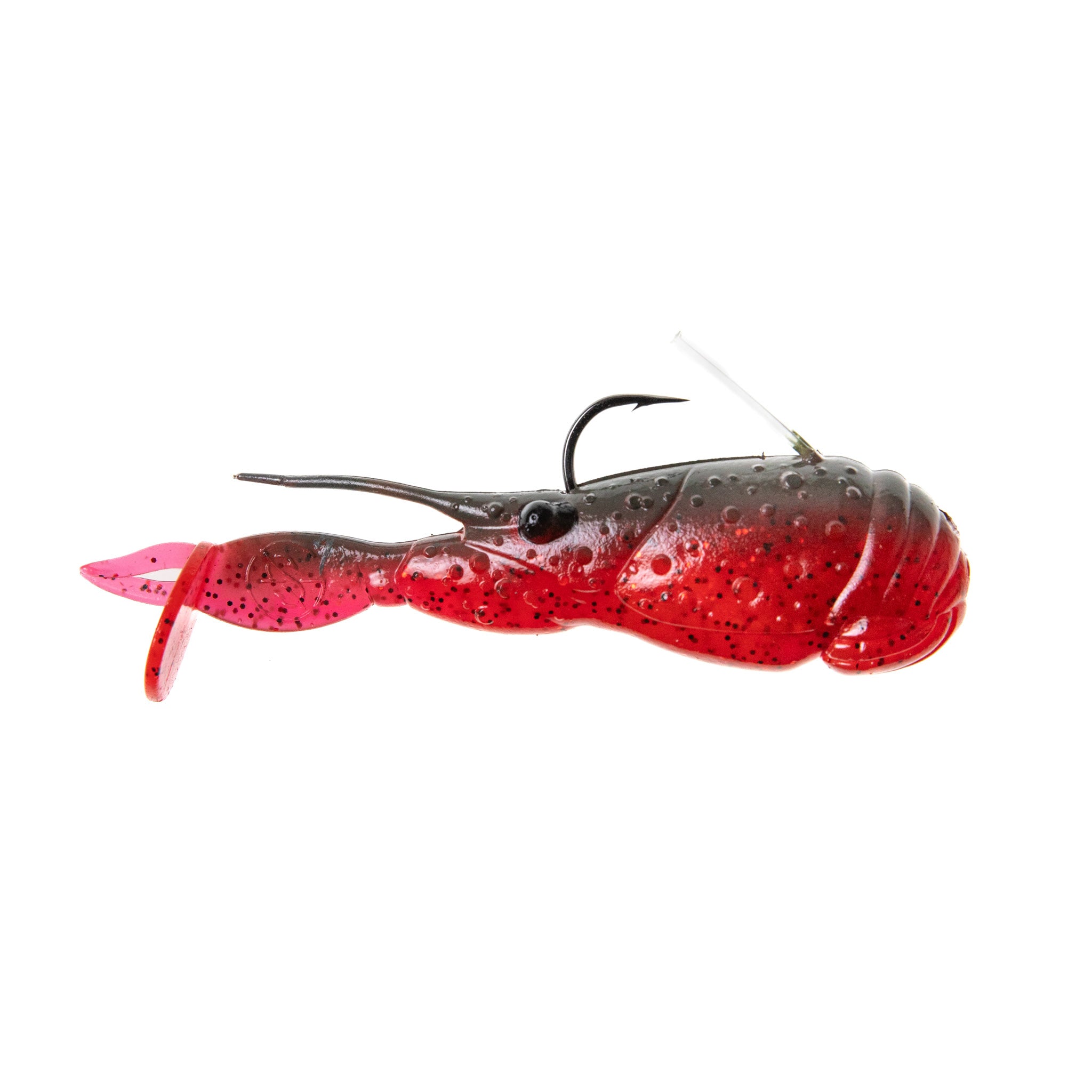 Scuddle Bug 7 Scuddle Bug