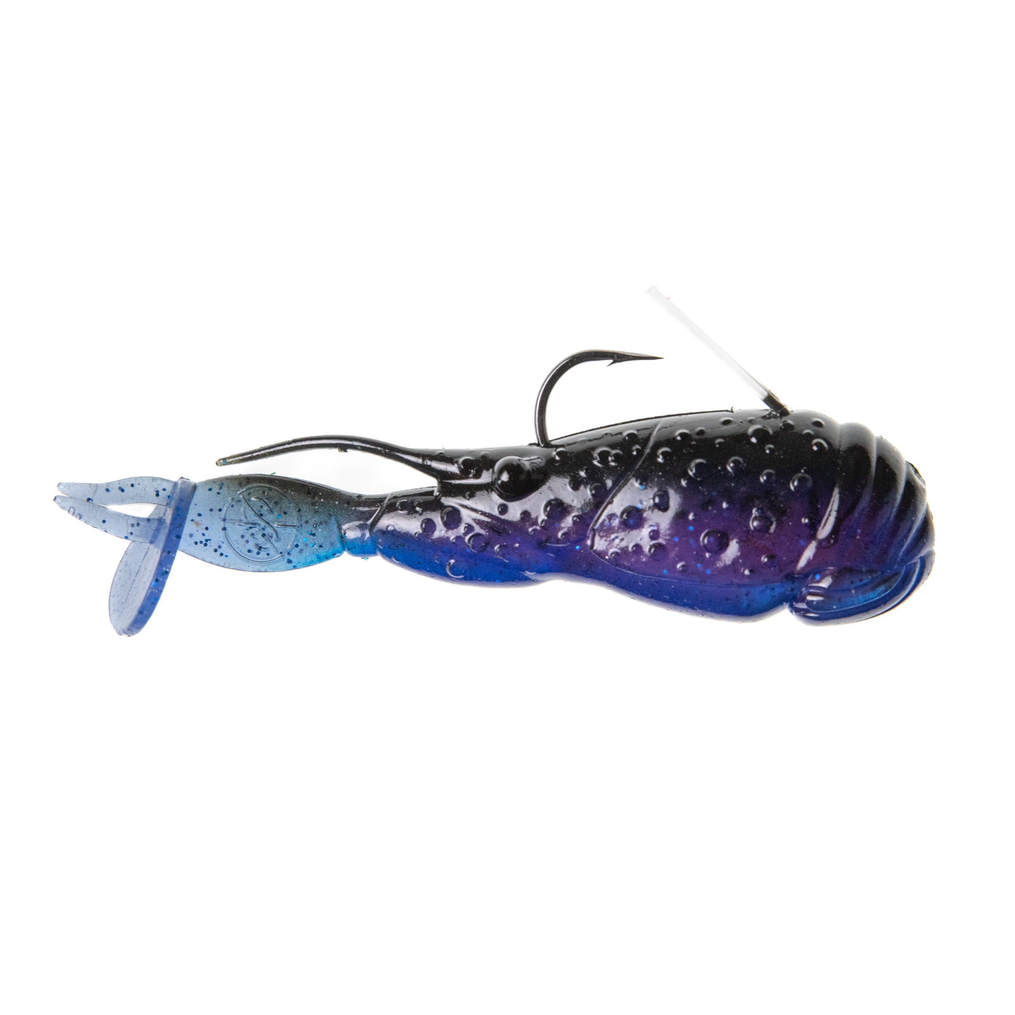 Scuddle Bug 8 Scuddle Bug